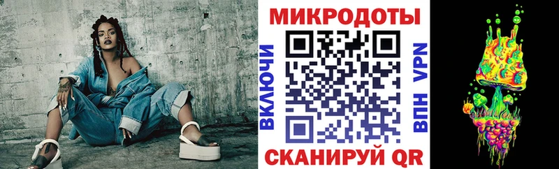 darknet наркотические препараты  Артём  Псилоцибиновые грибы мухоморы  наркошоп 