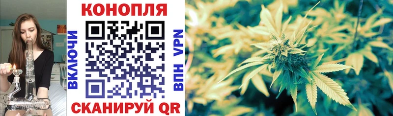 Каннабис SATIVA & INDICA  Артём 